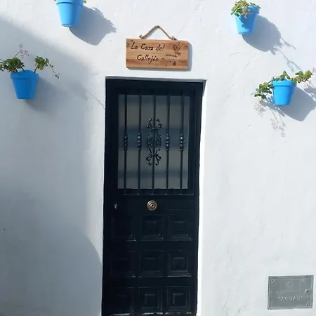 La Casa Del Callejon Apartment *